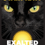 Svart Katt (Exalted Beer)