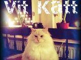 Vit Katt (Exalted Beer)